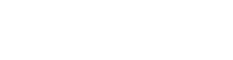 veterineranne.com